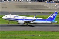 Miguel A. gueda Rguez.  (CANARY ISLANDS SPOTTING). Click to see full size photo