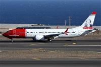 ©Alfonso Solís - Asociación Canary Islands Spotting. Click to see full size photo ©Alfonso Solís - Asociación Canary Islands Spotting. Click to see full size photo