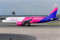 Miguel A. gueda Rguez.  (CANARY ISLANDS SPOTTING). Click to see full size photo