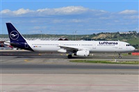 Miguel A. gueda Rguez.  (CANARY ISLANDS SPOTTING). Click to see full size photo