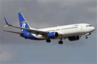 ©Alfonso Solís - Asociación Canary Islands Spotting. Click to see full size photo ©Alfonso Solís - Asociación Canary Islands Spotting. Click to see full size photo
