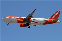 ©Alfonso Solís - Asociación Canary Islands Spotting. Click to see full size photo ©Alfonso Solís - Asociación Canary Islands Spotting. Click to see full size photo