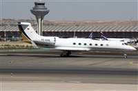 �Alfonso Sol�s - Asociaci�n Canary Islands Spotting. Click to see full size photo