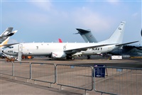 �Javier Rodr�guez. Click to see full size photo