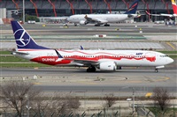 �Alfonso Sol�s - Asociaci�n Canary Islands Spotting. Click to see full size photo