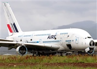 ©Javier Rodríguez. Click to see full size photo ©Javier Rodríguez. Click to see full size photo