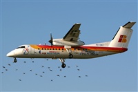 JR Prez. Click to see full size photo