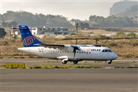 Javier de la Cruz - CANARY ISLANDS SPOTTING. Click to see full size photo