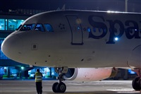 Javier de la Cruz - CANARY ISLANDS SPOTTING. Click to see full size photo