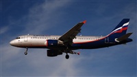 Rubn Gil - Noisy Spotters. Click to see full size photo