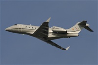 Jos Miguel Bernases - Noisy Spotters. Click to see full size photo