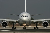 Jos Miguel Bernases - Noisy Spotters. Click to see full size photo