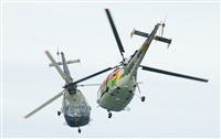 Adrin Chapela Cordeiro - Gallaecia Spotters. Click to see full size photo