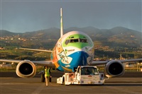 Javier de la Cruz - CANARY ISLANDS SPOTTING. Click to see full size photo