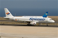 ©Javier de la Cruz - CANARY ISLANDS SPOTTING. Click to see full size photo ©Javier de la Cruz - CANARY ISLANDS SPOTTING. Click to see full size photo
