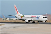 Miguel A. gueda Rguez.  (CANARY ISLANDS SPOTTING). Click to see full size photo