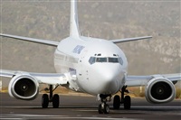 Javier de la Cruz - CANARY ISLANDS SPOTTING. Click to see full size photo