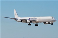Miguel A. gueda Rguez.  (CANARY ISLANDS SPOTTING). Click to see full size photo