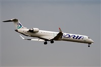 Javier de la Cruz - CANARY ISLANDS SPOTTING. Click to see full size photo