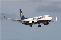 Alfonso Sols - Asociacin Canary Islands Spotting. Click to see full size photo
