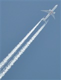 Rubn Gil - Noisy Spotters. Click to see full size photo