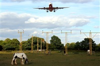 Rodrigo Carvalho - Noisy Spotters. Click to see full size photo
