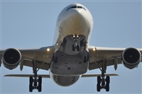 LEBL Spotter. Click to see full size photo
