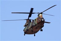 Carlos Zamora - La Mancha Spotters. Click to see full size photo