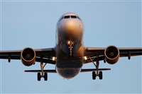 Rodrigo Carvalho - Noisy Spotters. Click to see full size photo