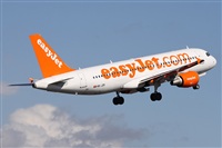 ©Alfonso Solís - Asociación Canary Islands Spotting. Click to see full size photo ©Alfonso Solís - Asociación Canary Islands Spotting. Click to see full size photo