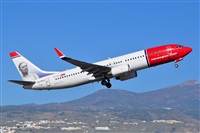 Miguel A. gueda Rguez.  (CANARY ISLANDS SPOTTING). Click to see full size photo