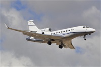 Miguel A. gueda Rguez.  (CANARY ISLANDS SPOTTING). Click to see full size photo