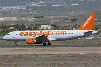 Luciano Fumero( freedom spotter)canary island spotting. Click to see full size photo