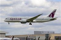 Javier de la Cruz - CANARY ISLANDS SPOTTING. Click to see full size photo