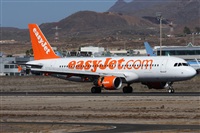Alfonso Sols - Asociacin Canary Islands Spotting. Click to see full size photo