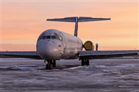 Javier de la Cruz - CANARY ISLANDS SPOTTING. Click to see full size photo