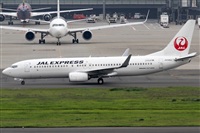 Rubn Gil - Noisy Spotters. Click to see full size photo