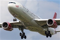 Miguel Alia - Noisy Spotters. Click to see full size photo
