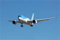 Bartolom Fernndez - Gran Canaria Spotters. Click to see full size photo
