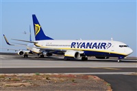 Miguel A. gueda Rguez.  (CANARY ISLANDS SPOTTING). Click to see full size photo