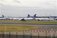 Miguel A. gueda Rguez.  (CANARY ISLANDS SPOTTING). Click to see full size photo