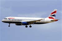 Paco Muoz Arencibia - Gran Canaria Spotters. Click to see full size photo