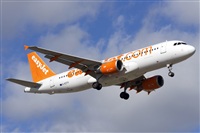 Saimon J Rodriguez   -   Canary Islands Spotting. Click to see full size photo