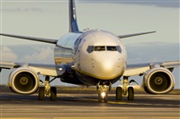 Saimon J Rodriguez   -   Canary Islands Spotting. Click to see full size photo