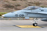 Adolfo Bento - Gran Canaria Spotters. Click to see full size photo