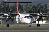 Csar Prieto. Click to see full size photo