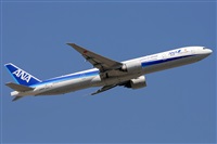 Miguel A. gueda Rguez.  (CANARY ISLANDS SPOTTING). Haz click para ampliar