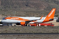 Alfonso Sols - Asociacin Canary Islands Spotting. Click to see full size photo