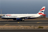 Alfonso Sols - Asociacin Canary Islands Spotting. Click to see full size photo
