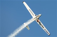 EC-ISM. Click to see full size photo